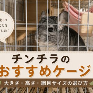 チンチラのかじり木、あげすぎはNG！食べても大丈夫？おすすめの交換時期や頻度