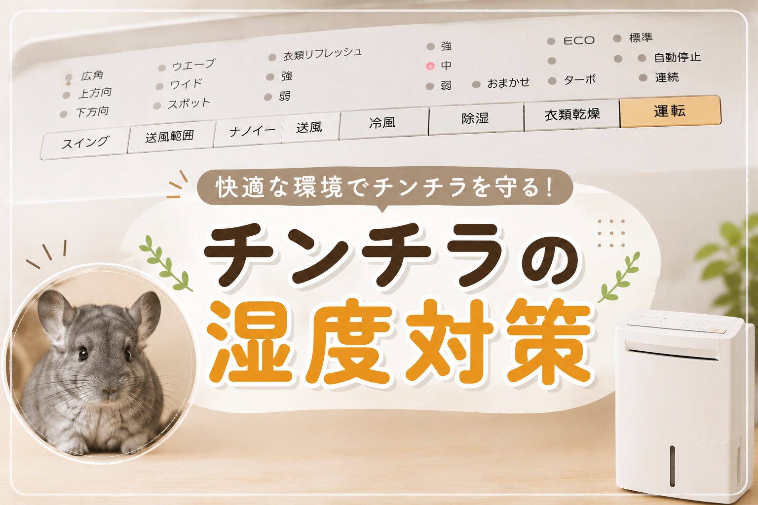 チンチラの湿度対策