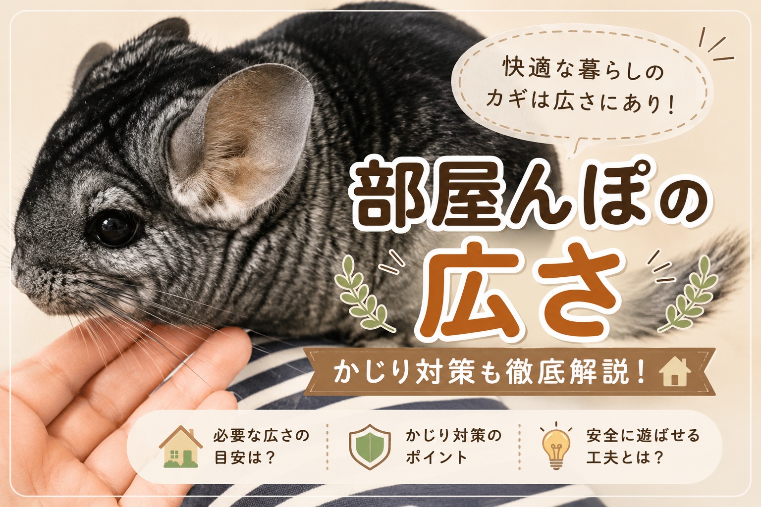 チンチラの部屋んぽの広さ・かじり対策