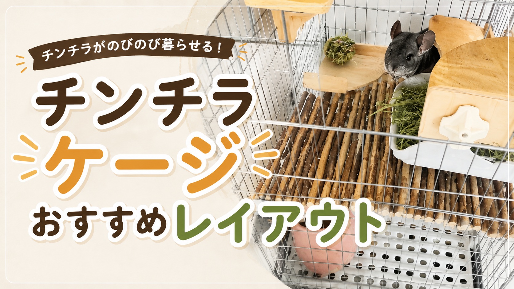 チンチラケージのおすすめレイアウト