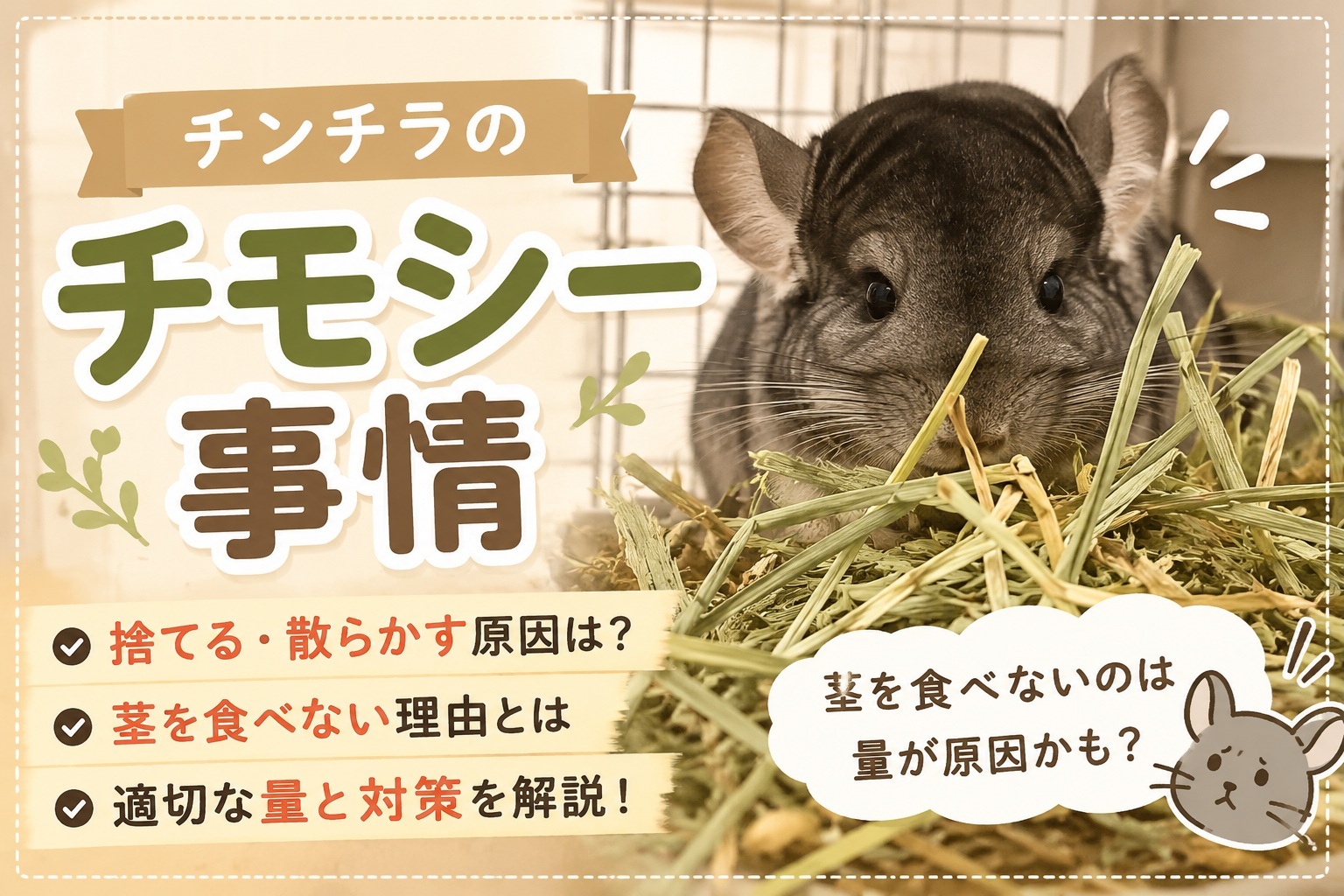 チンチラがチモシーを食べない・捨てる
