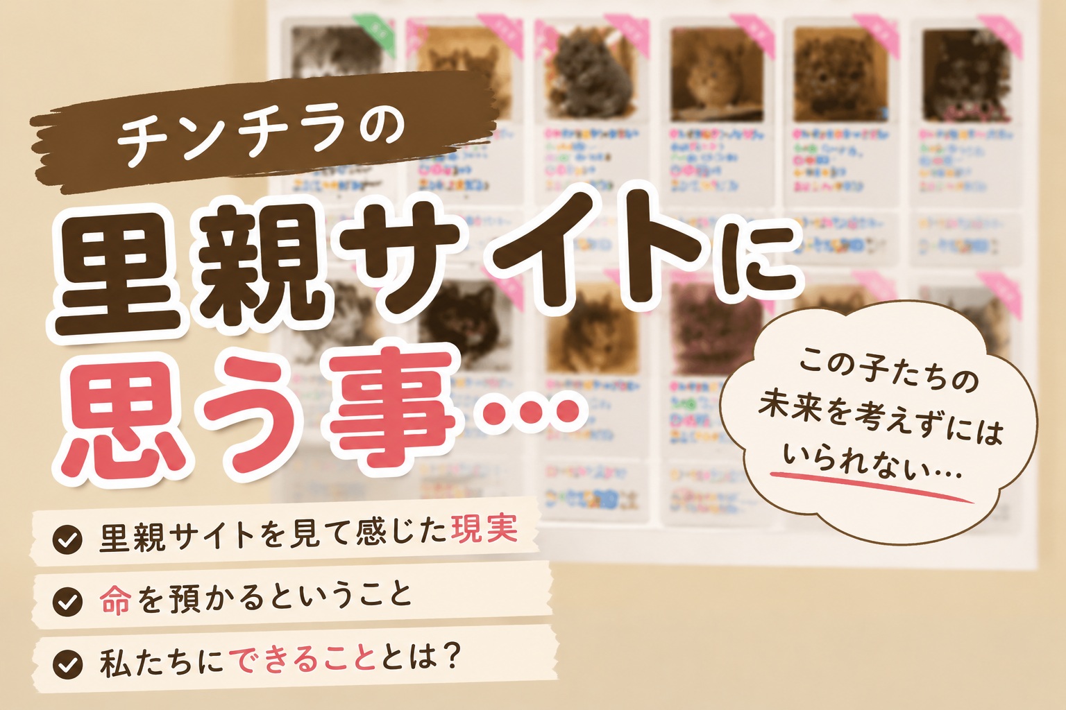 チンチラの里親サイトを探している