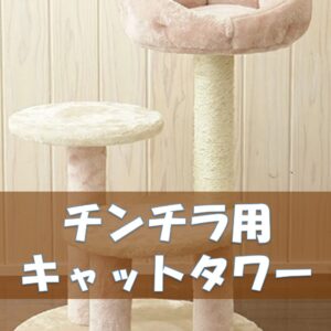 チンチラは水道水・ミネラルウォーターのどっちが良い？給水ボトルの交換頻度も解説