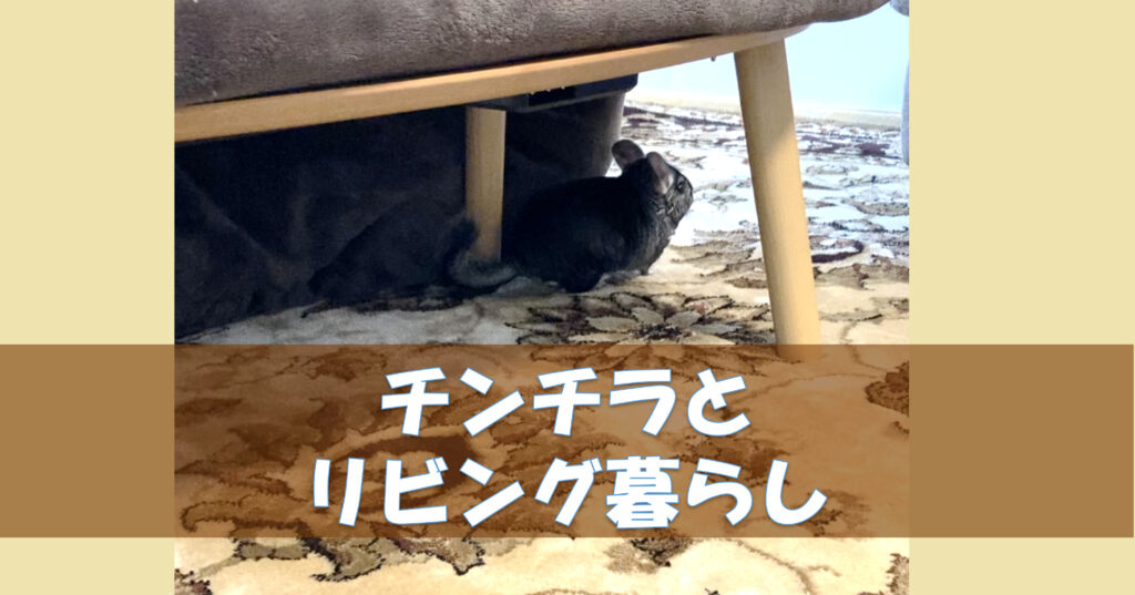チンチラをリビングで飼う ケージ場所はテレビやエアコン ケーブル対策を チンチラこたろう