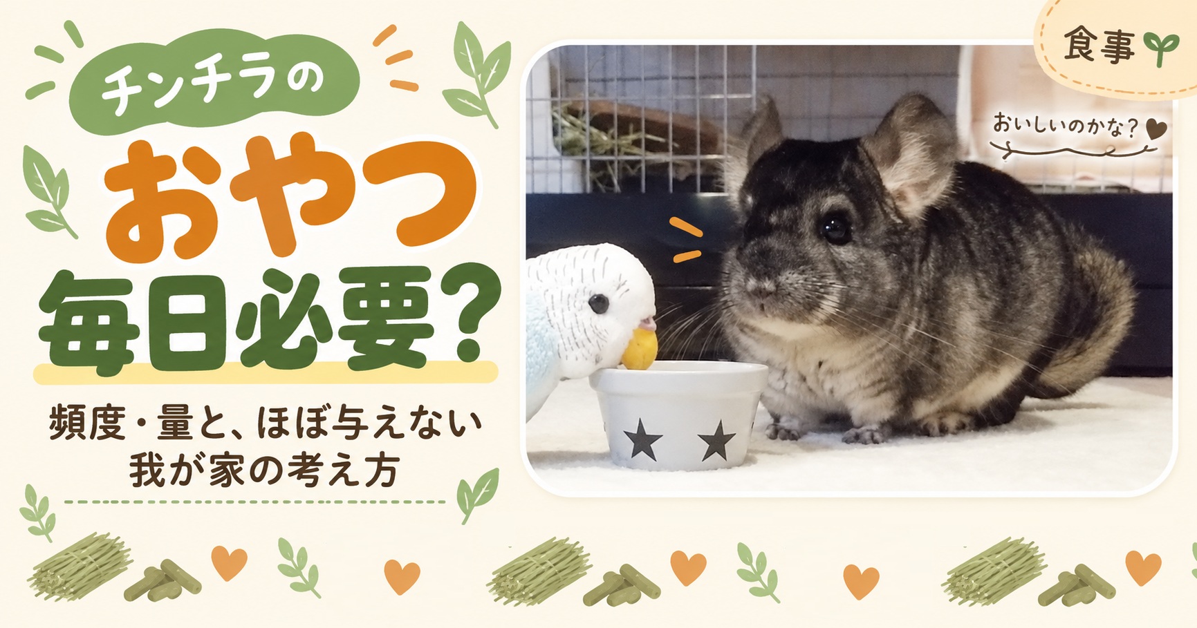 チンチラのおやつは毎日必要？我が家はほぼ与えない